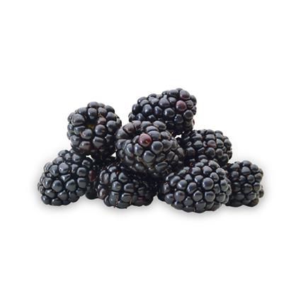 Blackberry Indian Pack 125-150 Gm Approx