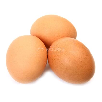MPN BROWN SHELL EGGS PACK OF 6
