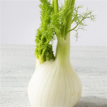 FENNEL IMPORTED PACK 200G