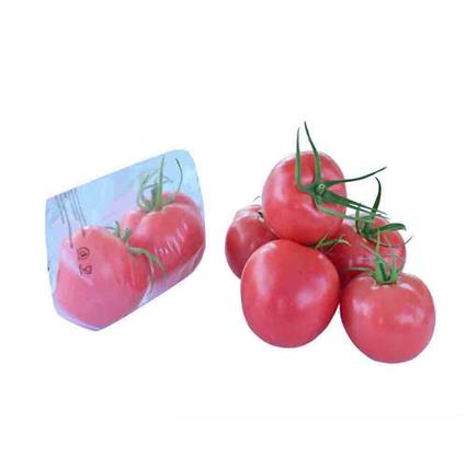 Tomato Beafsteak Pink