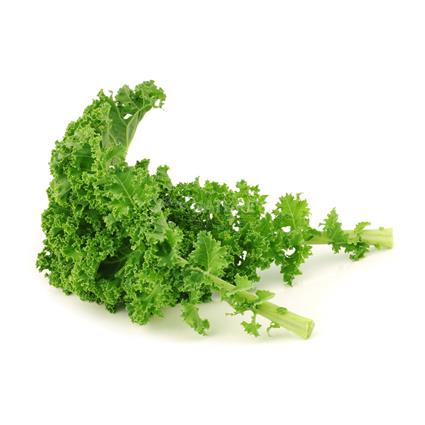 Hydroponic Lettuce Kale Flat