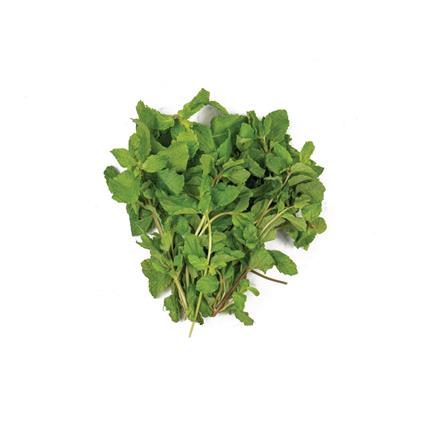 Hydroponic Mint Leaves