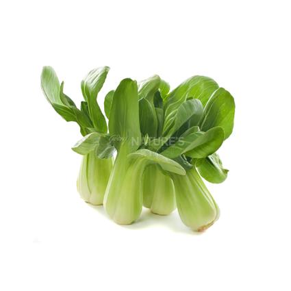 Indian Pakchoi White 