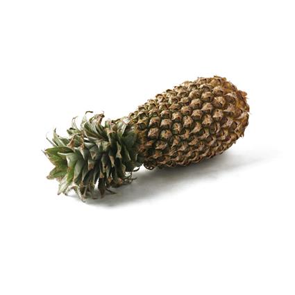 Kew Pineapple Indian North East 1Pc 1500-1800G