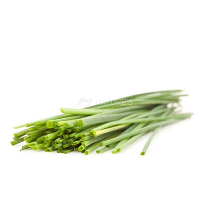 CHIVES 40 OFFERING