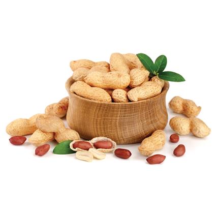 Surati Groundnut 