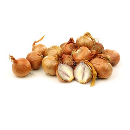 Onion Madras