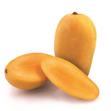 Jumbo Kesar Mango 1Pc 480 - 500Gm