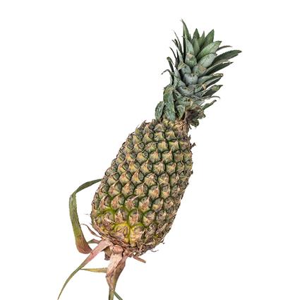 Organic Pineapple 1 Pcs