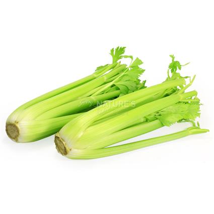 Celery  -  Exotic