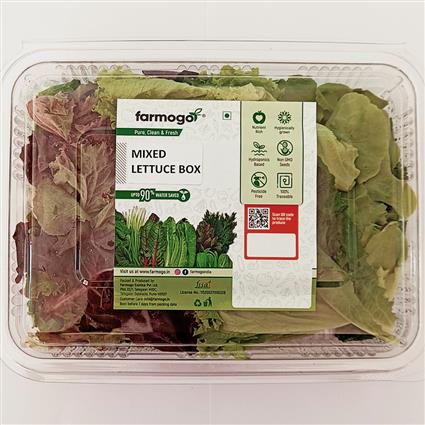 Lettuce Mix Salad Box 100Gm