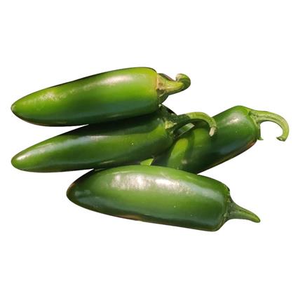 Imported Green Jalapeno Chilli Peppers