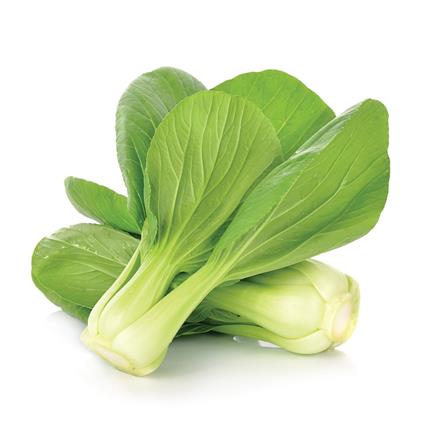 Hydroponic Pakchoy Pack 70G