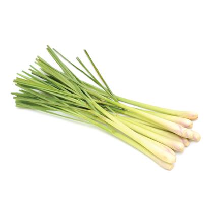 Herbs Pot Lemon Grass 1Pc