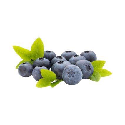 Blueberries Combo (125 Gm*2 Punnets)