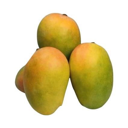 Mango Kesar