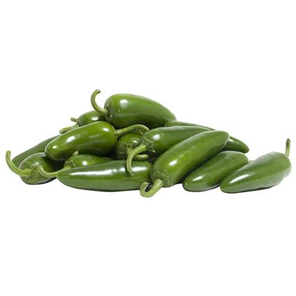 Jalapeno Pepper Chilly - Exotic