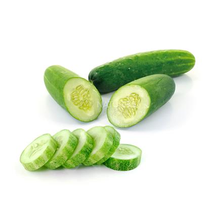 Cucumber Arya