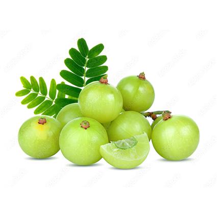 Natures Amla