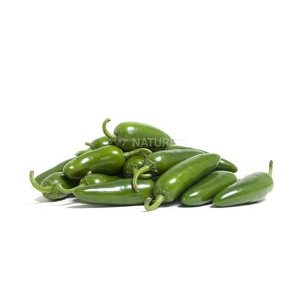 Jalapeno Pepper Chilly - Exotic