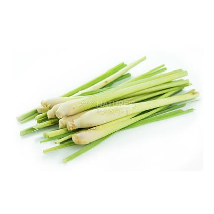 LEMONGRASS 100 G OFFERINGS