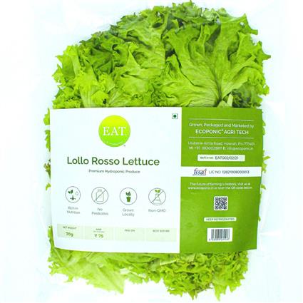 Hydroponic Lollo Rosso Lettuce Pack 75G