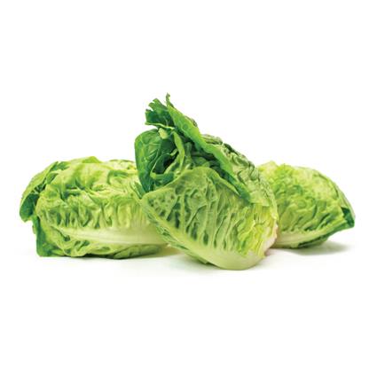 Lettuce Little Gems Imported Pack 500G