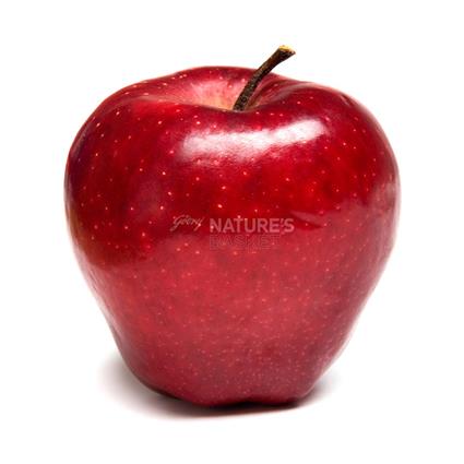 Apple Red Delicious Washington