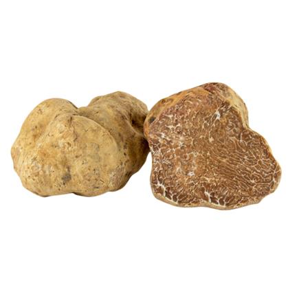 Fresh Truffle White Mushroom Imported