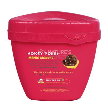 Manic Monkey Ice Cream - Hokey Pokey