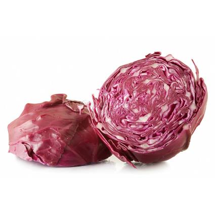 Cabbage Red  -  Exotic