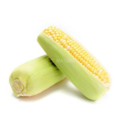 Sweet Corn  -  Organic