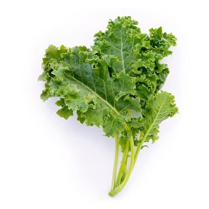 Curly Kale 100G