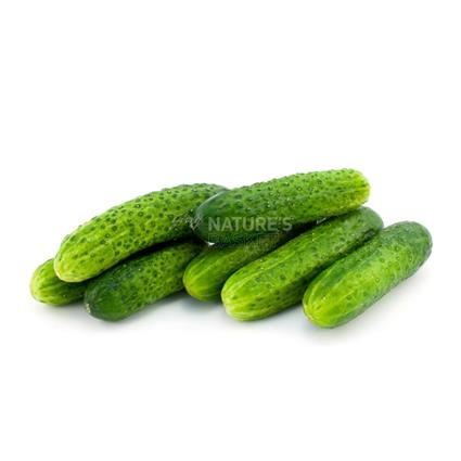 Cucumber Green  -  Organic