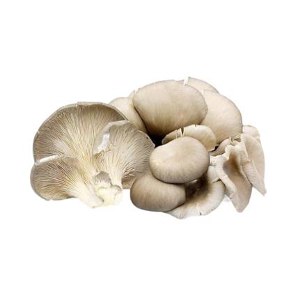 MUSHROOMS WHITE OSTER PC 200G