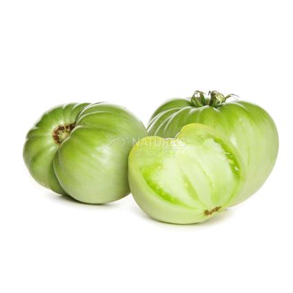 Tomato Green  -  Surti