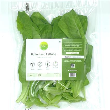 Hydroponic Butterhead Lettuce Pack 75G