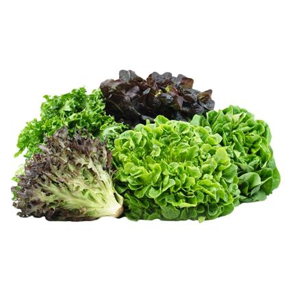 Fresh Natures Lettuce Mix