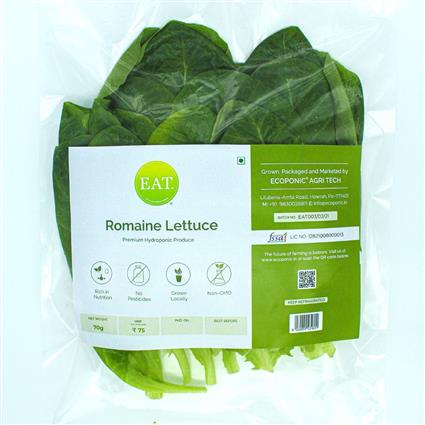 Hydroponic Lettuce Romaine Pack 150G