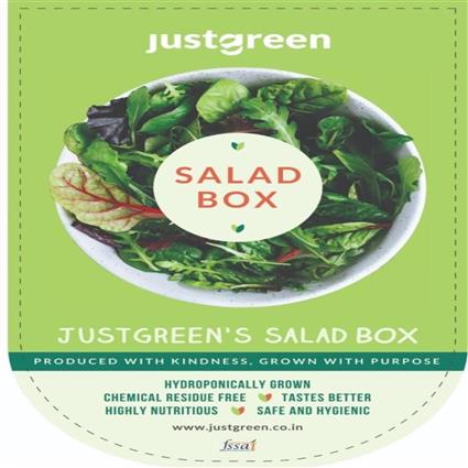 DIY Salad Box 160G