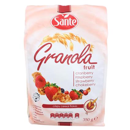 SANTE GRANOLA FRUIT 350g