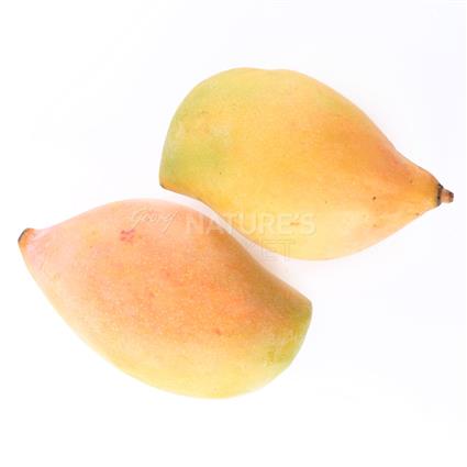 Mango Totapuri