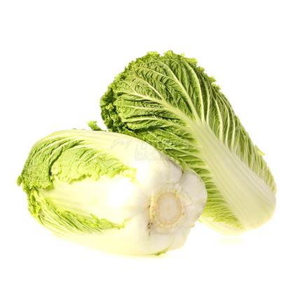 Chinese Cabbage  -  Exotic