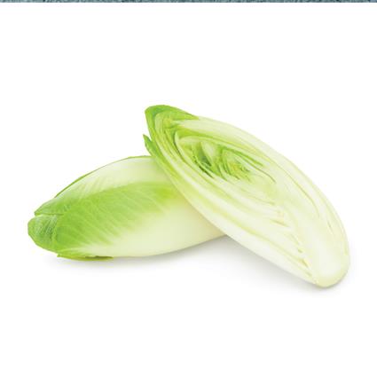 Chicory Endives Imported Pc 450-500G Pack