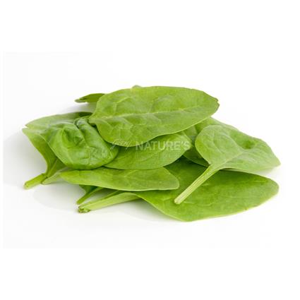 Spinach/Palak  -  Organic