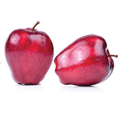 APPLE RED DELICIOUS FRANCE