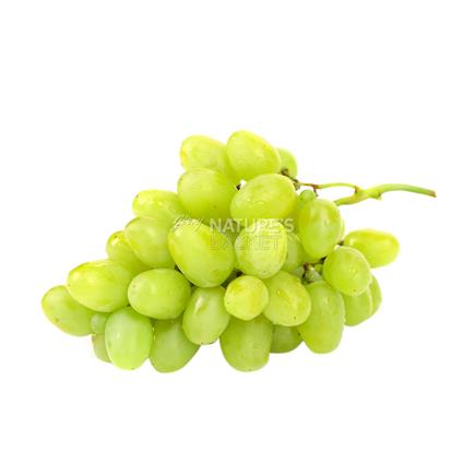 Grapes Green  -  Indian