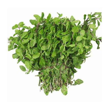 Organic Mint Leaves Naturana