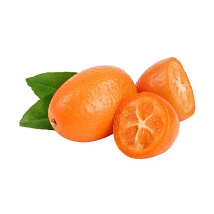 Imported Kumquat