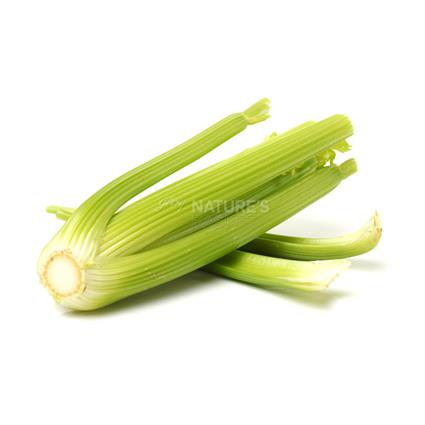 Celery Thick Stem  -  Imported